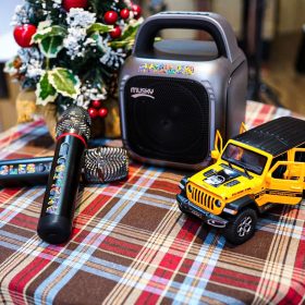 Loa karaoke Blutooth AMOLED